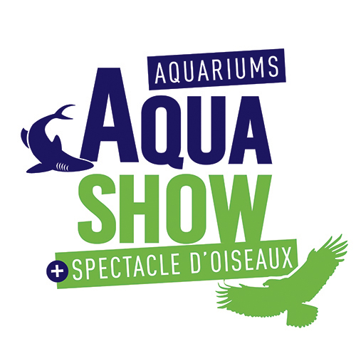 aquashow audierne